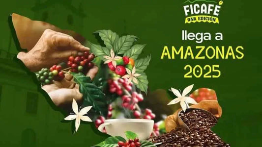 FICAFÉ 2025 llega a Amazonas: el café peruano en la mira del mundo