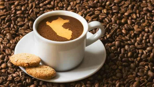 El café peruano brilló en el escenario mundial: un orgullo que se saborea en cada taza