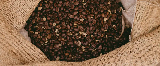 El café peruano supera los US$1,000 millones en exportaciones: Un logro que trasciende fronteras